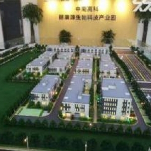 中南高科丽康源生物科技产业园标准独栋厂房出租