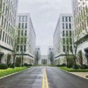 自贸区独栋厂房出售 现房出售