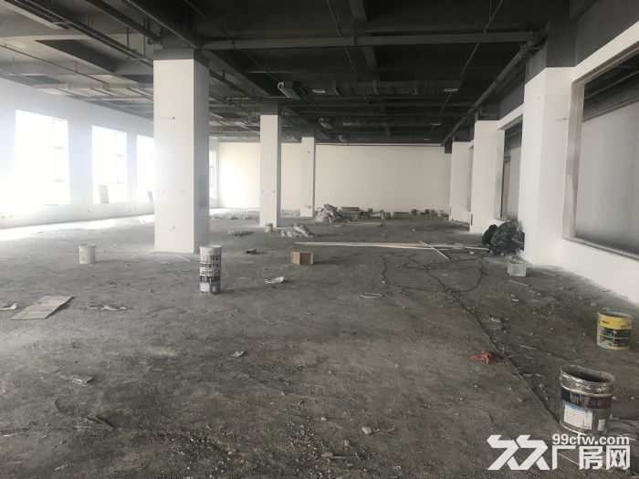 鹿泉经济开发区光谷科技园5000平米厂房出租-图3