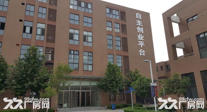 产业园全新厂房，月租5元，免租一年，售价1930元/平-图3