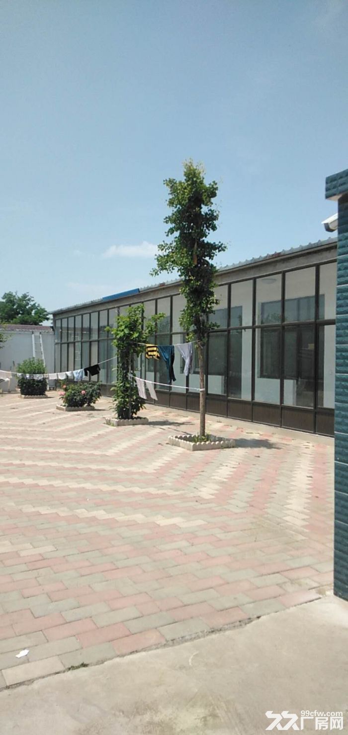 独门独院钢结构厂房 空地大-图2