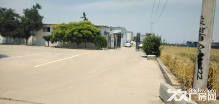 独门独院钢结构厂房 空地大