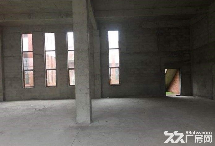 厂房出租 价格可谈 2654平米 3层独栋可做企业总部-图4