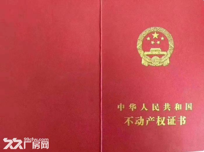 出售自贸区大产权框架结构厂房 独栋3层 可贷款低首付