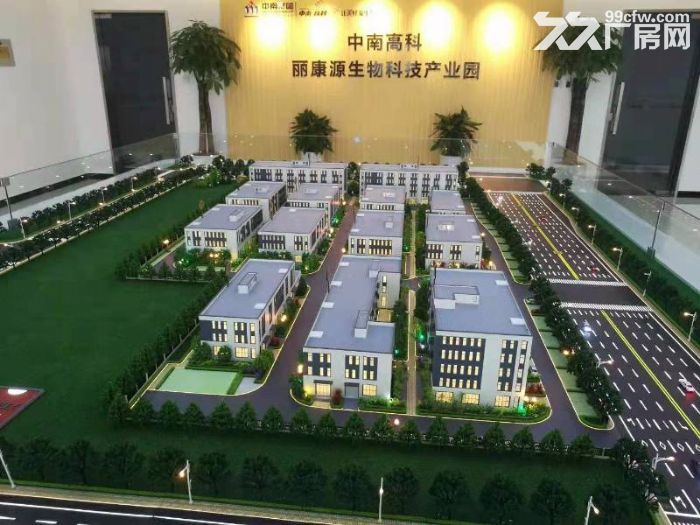 中南高科丽康源生物科技产业园标准独栋厂房出租