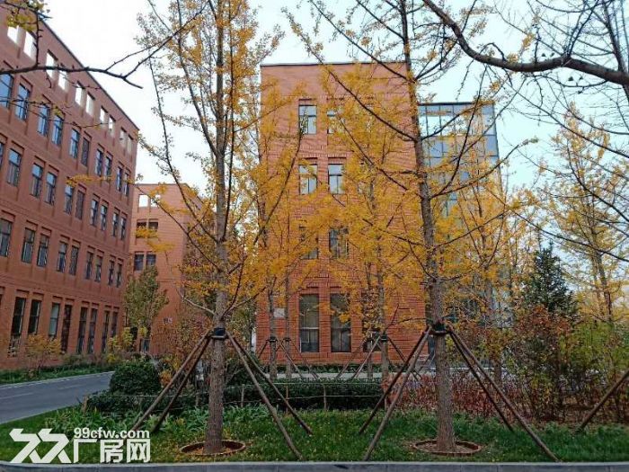 鹿泉区京赞线独栋科研生产场地出售，可贷款
