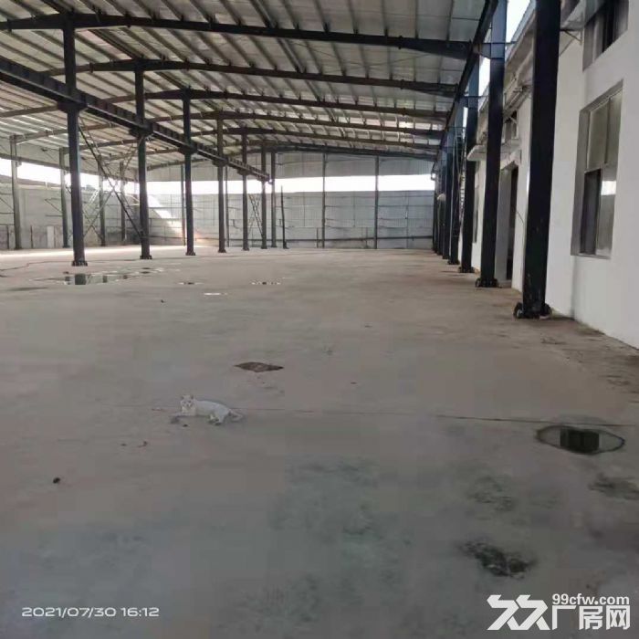 出租石家庄开发区东三环内层高九米的独院厂库房2300平-图3