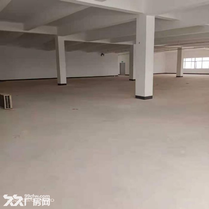 出租石家庄良村开发区标准厂房整层2500平，6米层高-图3