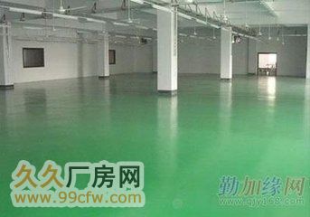 层高10米50年产权单层厂房[租售]通体框架可贷款-图5