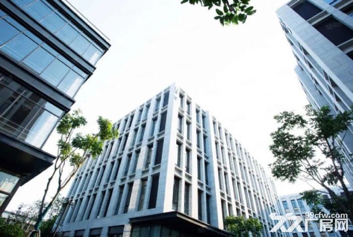 开发区多层厂房出租，价格绝对优惠！-图5