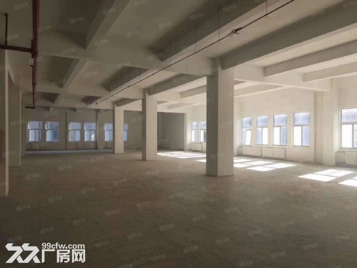 开发区多层厂房出租，价格绝对优惠！-图6