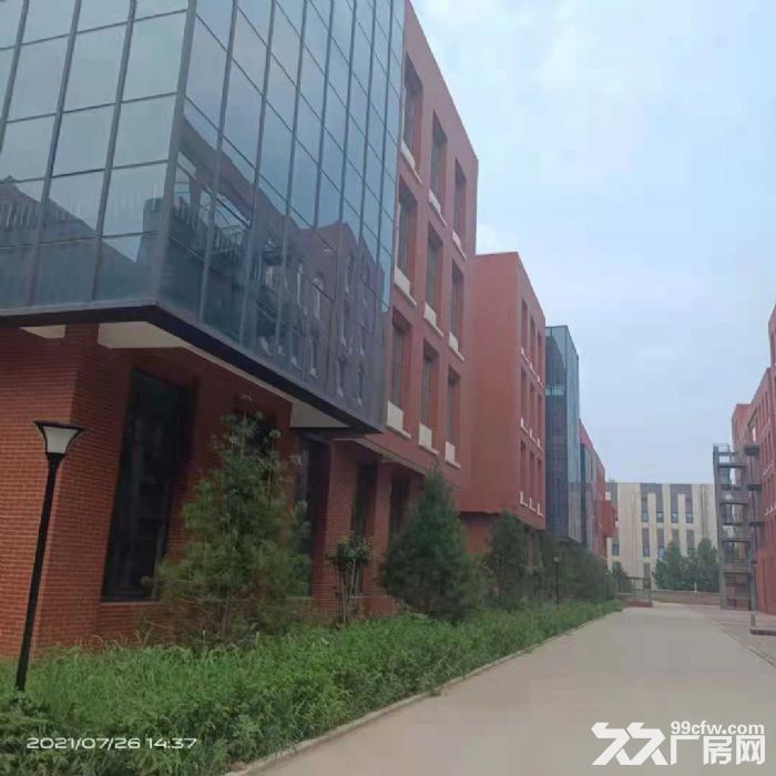 出租石家庄高新区成熟园区标准厂房办公560平